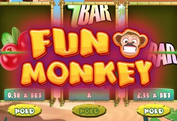Fun Monkey